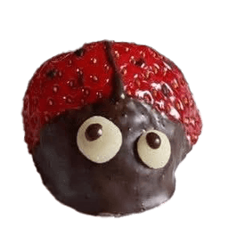 Erdbeerschokomarienkäfer