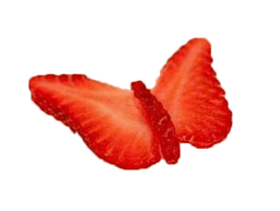 Erdbeerschmetterling